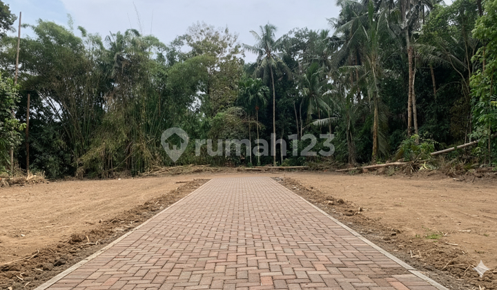 Affordable Land Area Triharjo, 600 Meters from BPN Office