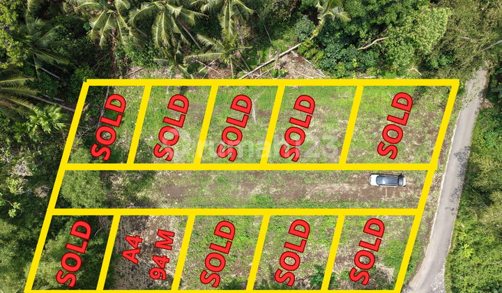  Promo! Tanah Triharjo Sleman 185 Juta, Freee Balik Nama