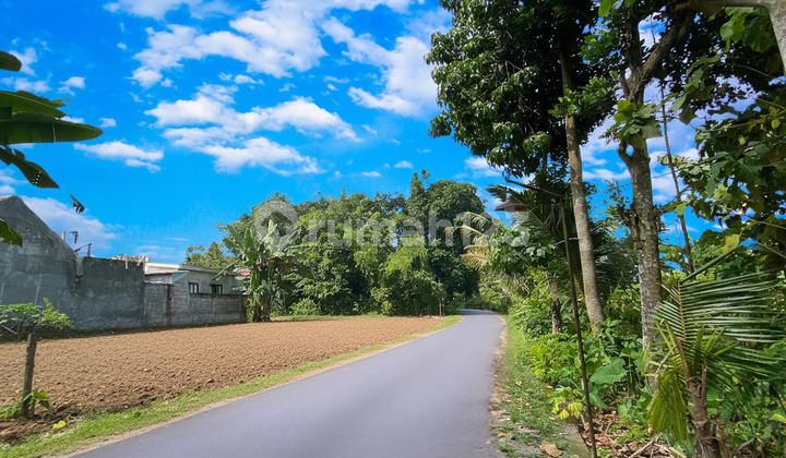Dijual Tanah Jogja Lokasi Timur Kampus UII Pusat Dijual Tanah Jogja Lokasi Timur Kampus UII Pusat