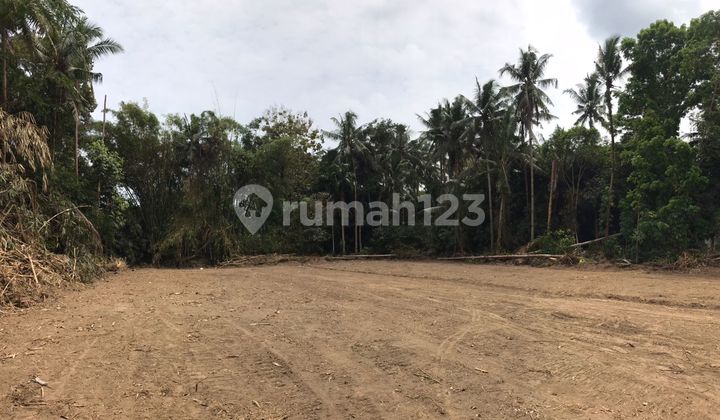 Cheap Land in Tridadi Sleman! Only 2 Units Left Cheap Land in Tridadi Sleman! Only 2 Units Left