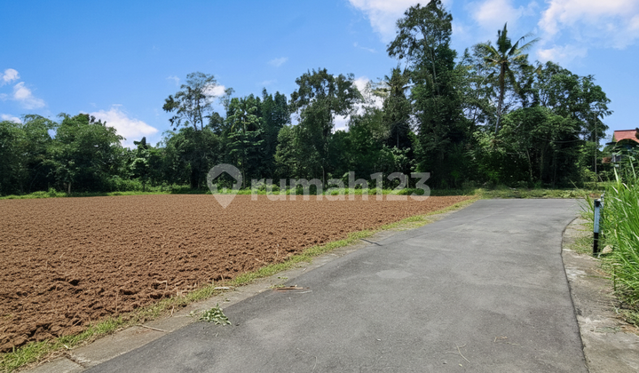 Cheap Land in East Jogja, Only 100 Meters from Cangkringan Road