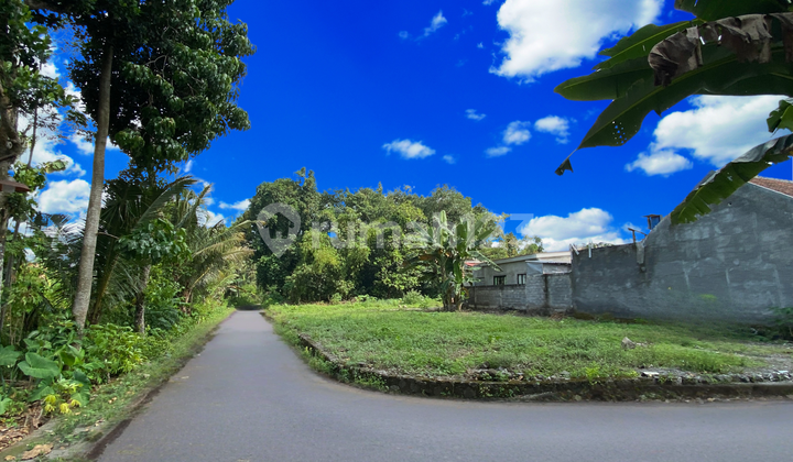 Tanah Murah Green Jangkang Sleman, Bisa Cicilan Tanpa Bunga