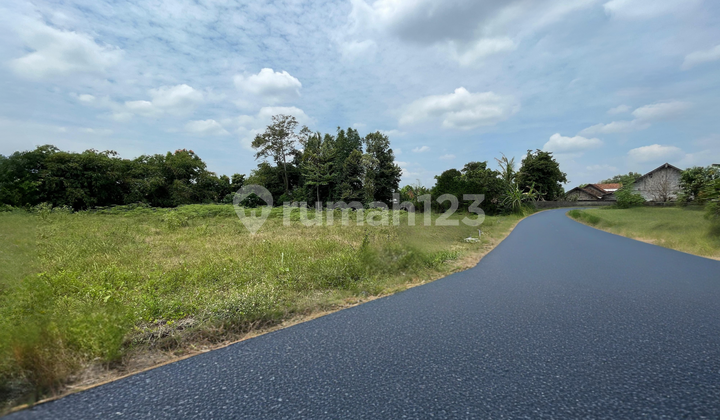 Selomartani Sleman Plot of Land, Legality Garden SHM Certificate