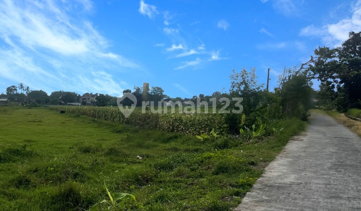 Tanah Kavling Savana Sidoarum Sleman Barat Bisa Cicilan Tanpa Bunga