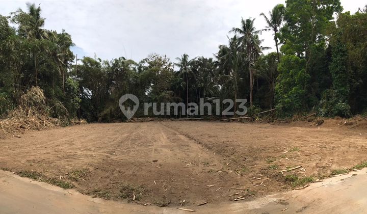 Tanah Murah 2 Jutaan Di Triharjo Sleman, Sisa 1 Unit