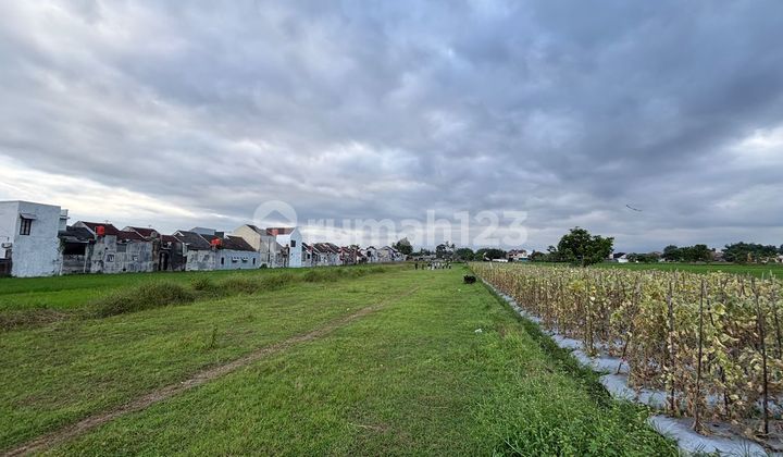 Cheap Land Sidoarum Godean, Legality SHM Yard Cheap Land Sidoarum Godean, Legality SHM Yard