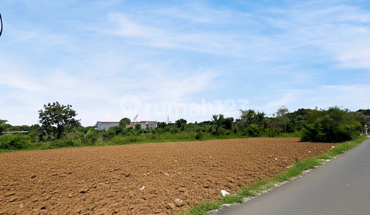 Tanah Murah Bantul Pesona Banguntapan, 10 Menit Kota Gede Tanah Murah Bantul Pesona Banguntapan, 10 Menit Kota Gede