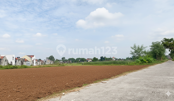 Investasi Masa Depan, Tanah Jogja 5 Menit Al Azhar Yogyakarta World Schools
