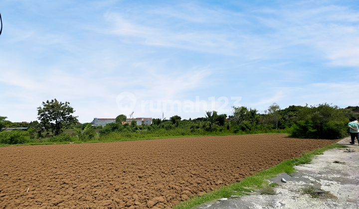 Promo Tanah Banguntapan Bantul, 5 Menit Jl Ringroad Selatan Promo Tanah Banguntapan Bantul, 5 Menit Jl Ringroad Selatan