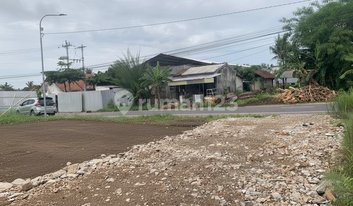 Affordable Land in Jogja, 15 Minutes from Hyatt Palagan Hotel
