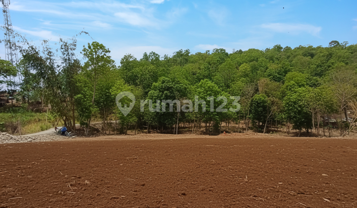 Jual Tanah Murah Area Bantul, Lokasi Strategis 5 Menit Pasar Pleret