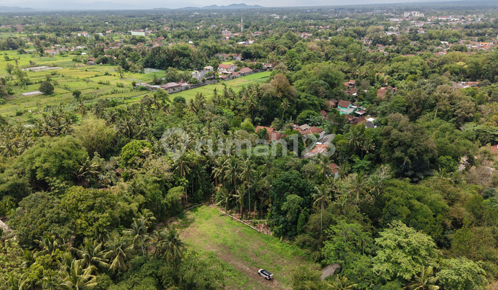  Promo! Tanah Triharjo Sleman 185 Juta, Freee Balik Nama