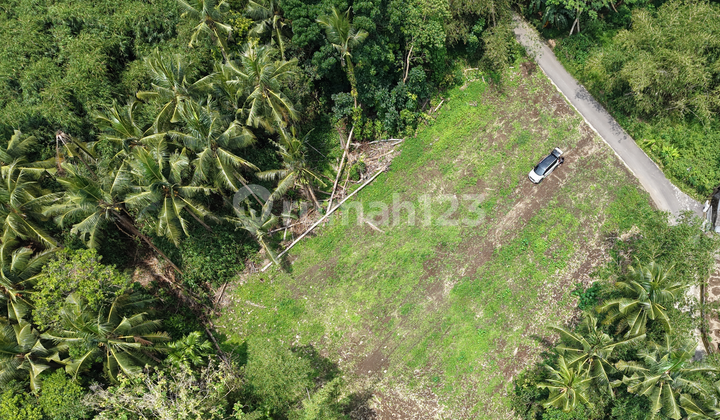 Promo! Triharjo Sleman Land, Only 1 Unit Left