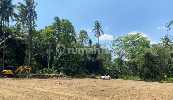 Jual Tanah Murah Tridadi, 800 Meter Dari Pasar Sleman