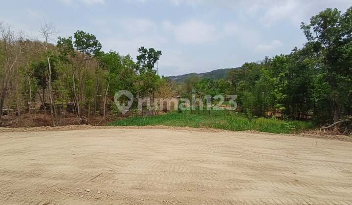 SHM, Tanah Pleret Bantul Hanya 7 Menit Ke Puncak Sosok SHM, Tanah Pleret Bantul Hanya 7 Menit Ke Puncak Sosok