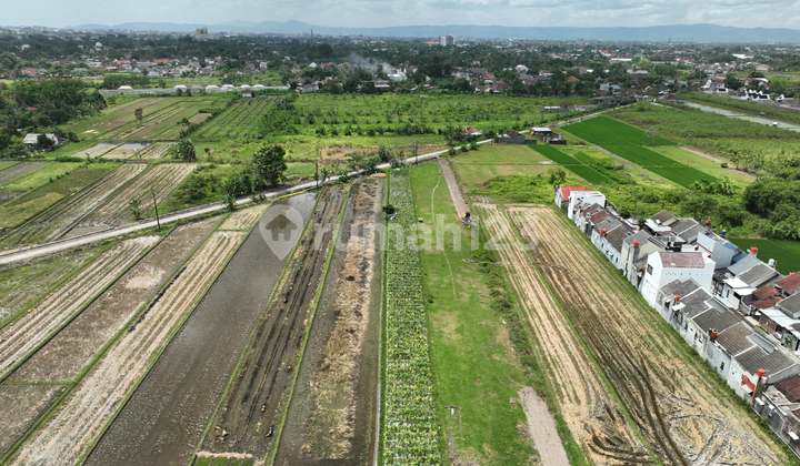 Tanah Murah Jogja Area Sidoarum, 8 Menit Kampus UMY