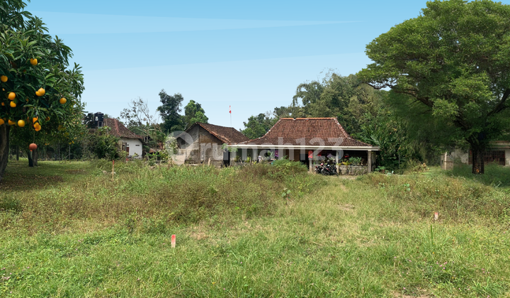 Tanah Murah Kaliurang, Harga Dua Jutaan 