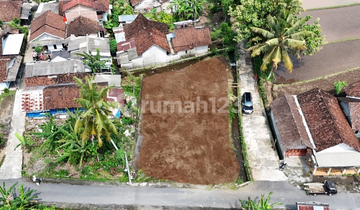 Tanah Murah Area Pandowoharjo, Dekat PT Serafood Tanah Murah Area Pandowoharjo, Dekat PT Serafood