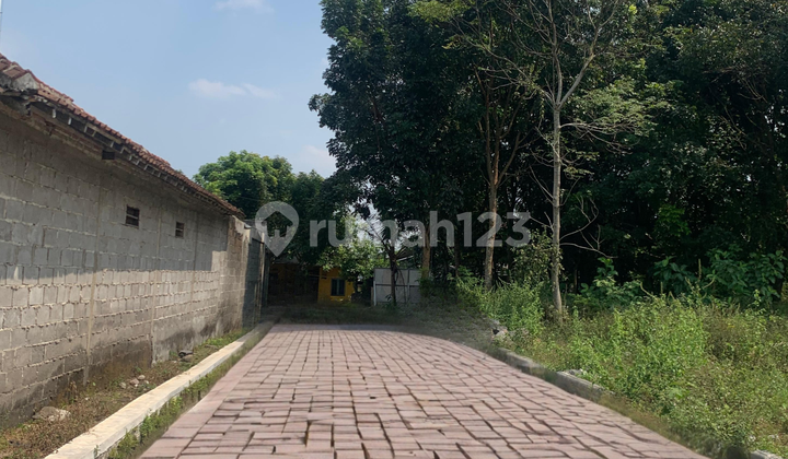 Tanah Murah Sleman Lokasi Kalasan Asri