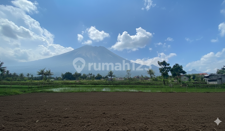 Tanah Siap Bangun Lokasi Palagan, 3 Menit Jejamuran Resto
