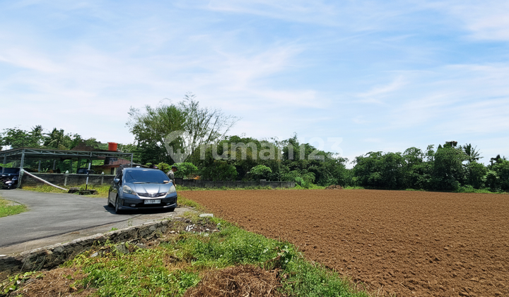 Tanah Jogja Siap AJB, 5 Menit Dari Exit Tol Kalasan Tanah Jogja Siap AJB, 5 Menit Dari Exit Tol Kalasan
