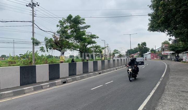 Tanah Murah Prambanan, Siap Bangun dan Free Balik Nama Tanah Murah Prambanan, Siap Bangun dan Free Balik Nama
