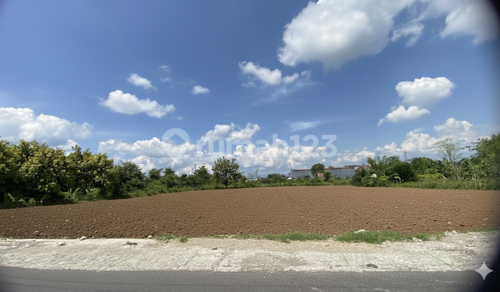 Investasi Masa Depan, Tanah Bantul Banguntapan Bisa Cicilan 12x