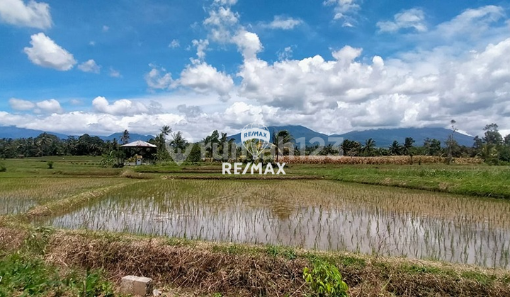 Dijual Tanah Sawah Segobang - Licin, Banyuwangi