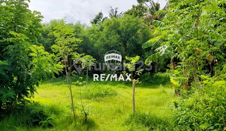 Hot Deal!! Dijual Cepat Tanah Kavlingan, Bulusan -Klatak, Kalipuro -Banyuwangi