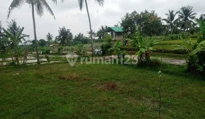 Lahan View Laut & Gunung 400 m2 SHM Glagah, Banyuwangi