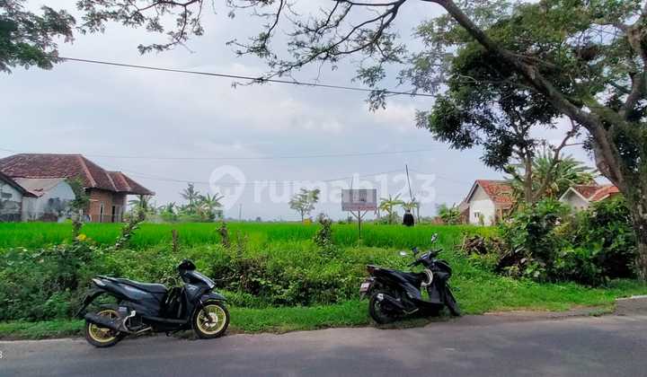 Tanah 4070 m2 SHM Lokasi Premium dekat Bandara Blimbingsari, Banyuwangi Tanah 4070 m2 SHM Lokasi Premium dekat Bandara Blimbingsari, Banyuwangi