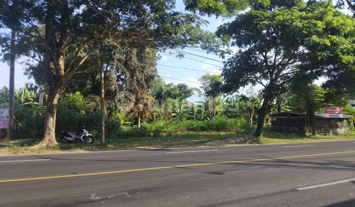 DiJual Tanah Strategis 2500 m2 SHM Kabat, Banyuwangi