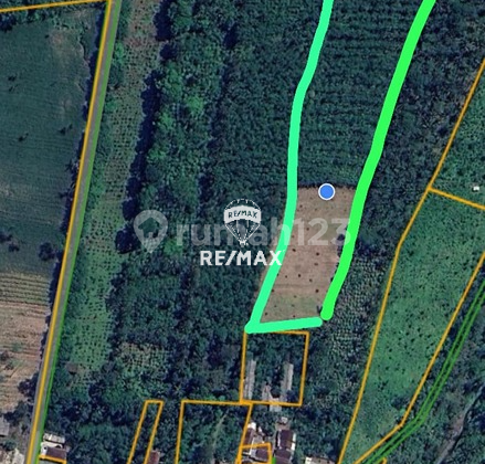 Dijual Tanah Luas & Murah - Kalibaru Manis Kab. Banyuwangi