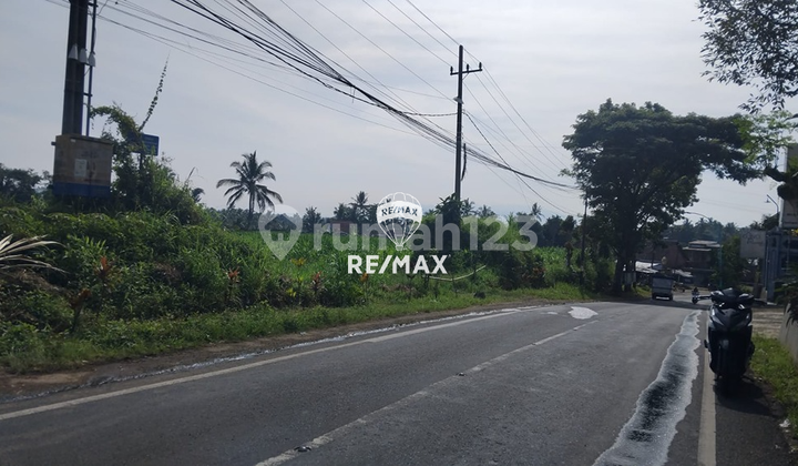 Dijual Tanah Strategis Licin, Banyuwangi