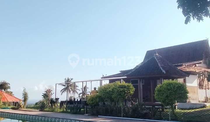FOR SALE SONGGO LANGIT HOMESTAY, Segobang–Licin, Banyuwangi 2