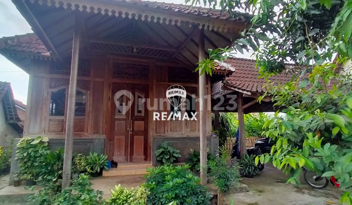 Dijual Rumah Gaya Joglo, Olehsari-Banyuwangi Dijual Rumah Gaya Joglo, Olehsari-Banyuwangi