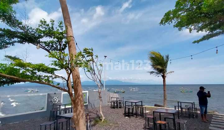 Tanah & Bangunan 40000 m2 SHM Blimbingsari, Banyuwangi Tanah & Bangunan 40000 m2 SHM Blimbingsari, Banyuwangi