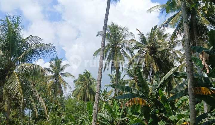 Tanah, SHM, Dekat Akses Bandara, Cocok untuk Perumahan
