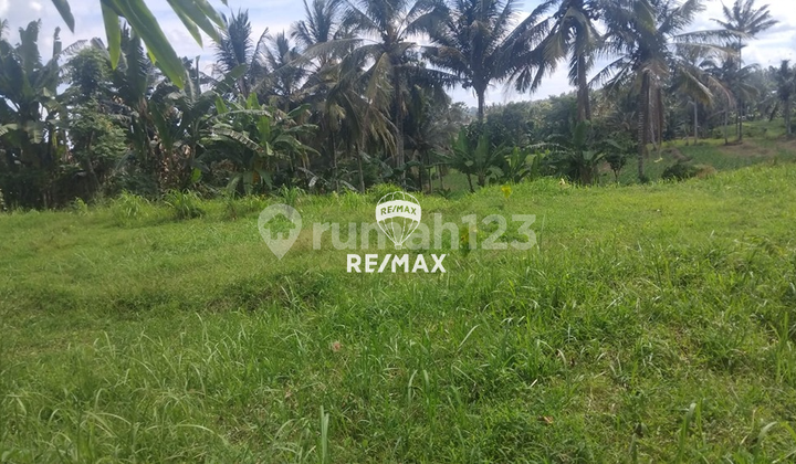 For Sale Land Plots in Glagah, Banyuwangi