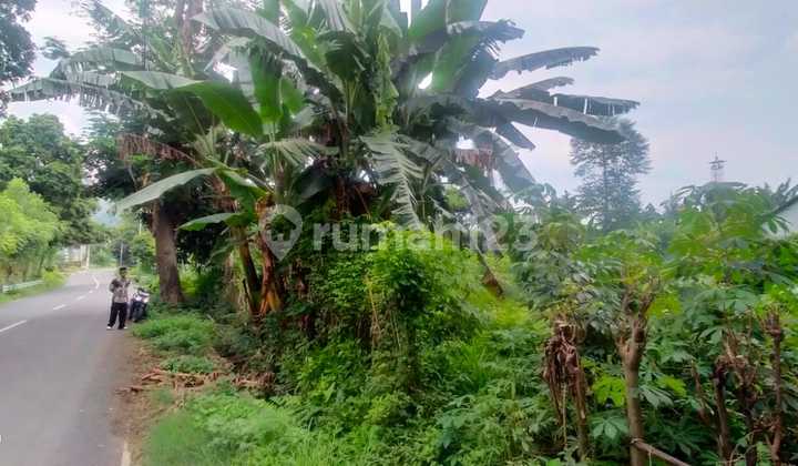 Dijual Tanah Strategis SHM Jalan Lingkar-Ketapang, Banyuwangi