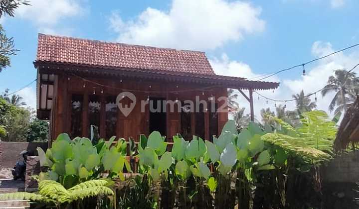 Villa 100 m2 Land 391 m2 Freehold Title Clear, Banyuwangi Villa 100 m2 Land 391 m2 Freehold Title Clear, Banyuwangi
