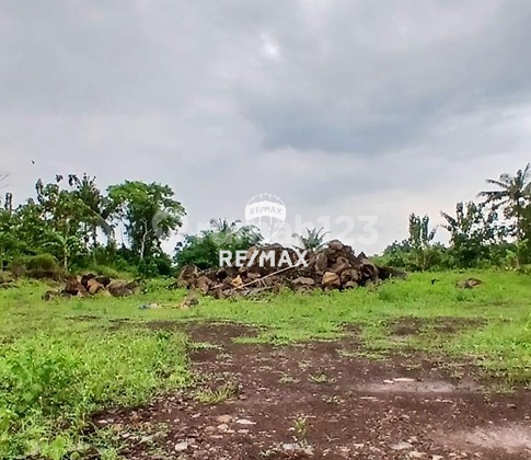 Land / Dry Land Ready to Build For Sale - Rogojampi, Banyuwangi