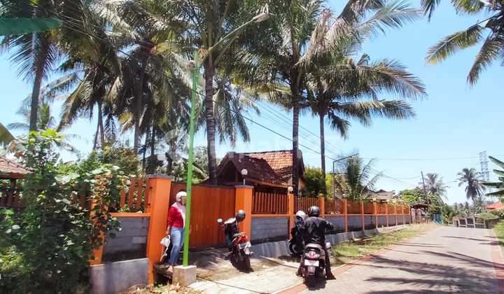 Tanah Bonus Rumah Osing & Gazebo – Paspan, Glagah Banyuwangi 