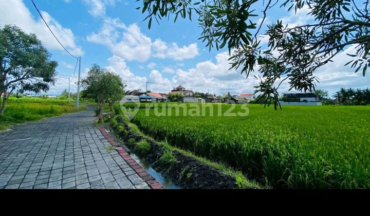 Smart Investment in Bali – Exclusive Land Plots at Affordable Prices!