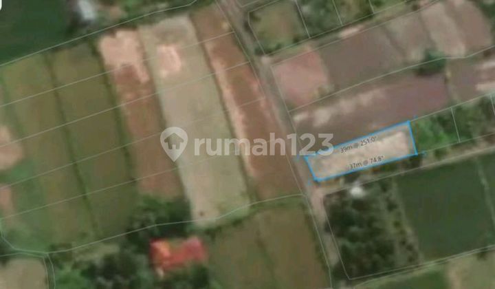 Peluang Emas! Kavling Asri Dekat Pantai & Fasilitas Kota Singaraja