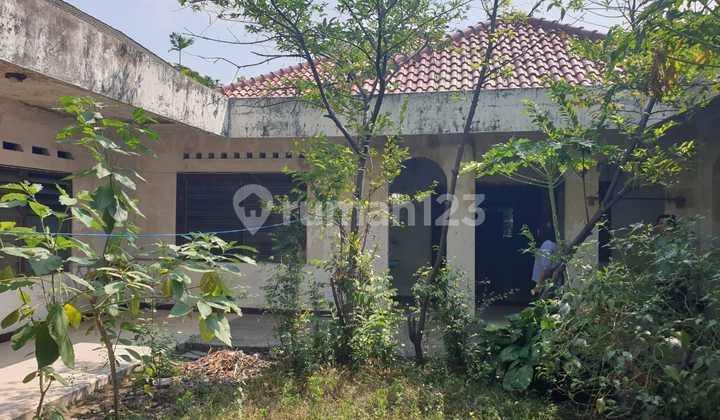 Cheap Sale 1 Land Plot with Old House Cheap Sale 1 Land Plot with Old House