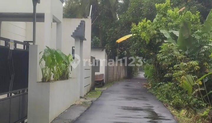 Dijual Villa + Kebun Durian & Alpukat di Jasinga Bogor 2