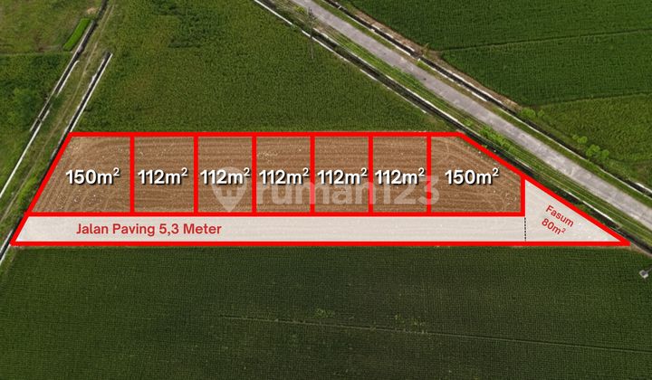 Cheap Land for Sale in Sleman, 3 Million-ish Per Meter