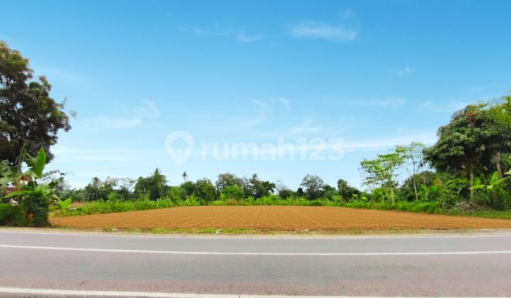 Land for Sale in Ngaglik, Near UII Campus and Kopi Klothok