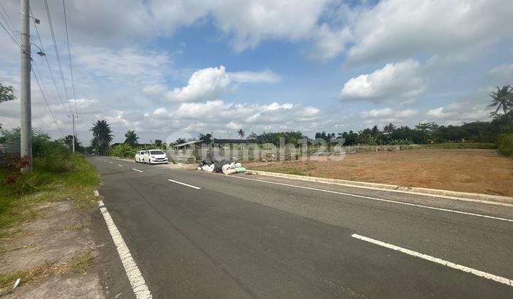 Land in Jogja near UII Campus, around 300 million IDR, Views of Rice Fields and Mount Merapi.